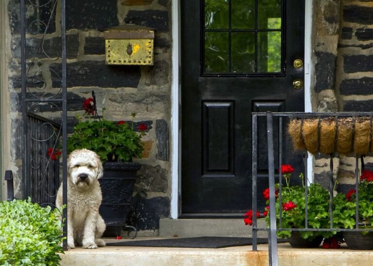 What the Mail Carrier Said on Tuesday